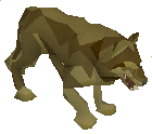 Picture of Desert wolf